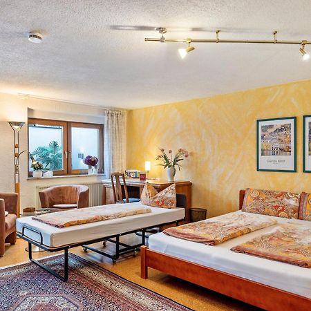 Ferienwohnung Bei Franka Mit Sauna Freiburg im Breisgau Exteriér fotografie